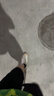 奈宠小型鱼饲料鱼食小颗粒微粒热带鱼淡水凤尾粮孔雀鱼通用饲料0.3mm 260ml高营养自主粮*1瓶【0.3mm】 实拍图