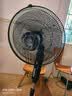 钻石牌（DIAMOND）电风扇家用落地扇办公室立式风扇大风力客厅五叶电扇轻音节能劲风可定时SN 实拍图