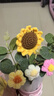 柏爱向日葵永生花束生日礼物伴手礼一举夺魁金榜题名摆件母亲节情人节 实拍图