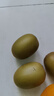 佳沛（zespri）新西兰 新果季 阳光金奇异果16粒礼盒经典果单果 88-103g  猕猴桃 实拍图