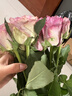 悦多彩AB级优质香水百合 家庭办公室各色生活鲜花 昆明基地 现采直发 单头玫瑰10支（随机色） 实拍图