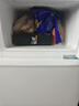 新飞冰箱小型租房用 一级能效冷 藏冷冻两用1-2人家用小冰箱 出租房双门电冰箱办公室两门 26年升级 76A一级能效【保温升级】白 实拍图