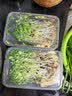 新鲜【香椿】芽苗菜可食用香椿苗香春苗冷艺新鲜蔬菜苗菜摆盘装饰 椿香浓郁香椿苗400克两盒装 实拍图