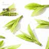 骏江南2026新茶洞庭山碧螺春明前特二级绿茶茶叶礼盒装送长辈节日送礼 实拍图