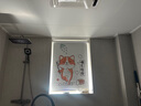 旺厨坊 卫生间窗帘免打孔防水洗手间厕所浴室升降百叶窗户遮挡遮光卷帘 佛系洗澡 实拍图