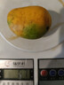 攀枝花凯特芒果台农芒应季热带时令芒果水果整箱送礼 净重3.5-4斤单果500g 实拍图