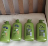 飘柔蓬松洗发水去油男士女士日常护理家庭装绿茶精华洗发露膏750g 实拍图