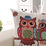 钟爱一生抱枕含芯靠垫办公室靠枕午睡腰枕卡通印花汽车床头靠垫 猫头鹰 45cm*45cm 含枕芯 实拍图