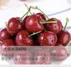 头茬树熟美早大樱桃3J（特大果JJJ级）250g/盒 实拍图