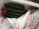 京鲜生 山东水果黄瓜＆圣女果组合 净重3斤 新鲜蔬菜 小番茄 源头直发 实拍图