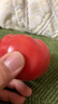 京鲜生 海阳普罗旺斯净重4.5斤单果180g起礼盒装 沙瓤西红柿 源头直发 实拍图