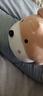 名创优品（MINISO）趴姿系大号趣味狗狗公仔玩偶玩具娃娃抱枕生日礼物女 卡其色 实拍图