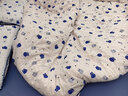 无印良品全棉贝壳绣床上四件套 1.5/1.8米床单纯棉被套200*230cm 实拍图