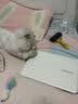 licheers猫玩具逗猫棒不倒翁猫咪玩具薄荷球幼猫猫咪自嗨解闷逗猫用品 实拍图