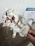 憨憨乐园猫零食木天蓼猫咪磨牙棒洁齿棒猫咬棒逗猫幼猫玩具幼猫自嗨棒5支 实拍图