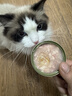好主人猫罐头 猫零食成猫幼猫通用金枪鱼白肉汤罐混合口味高肉含量补水 【零食罐】白肉汤罐85g*24 实拍图