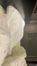 无印良品一次性床品四件套床单被罩枕套酒店隔脏加厚免洗出差旅行双人棉感 实拍图