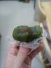 窃蛋龙艾草豆沙青团清明粿饼干糕点心早餐面包休闲零食清明节零食2斤 实拍图
