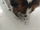 疯狂小狗 狗粮鸡肉蓝莓味10kg 金毛泰迪中大小型犬幼犬成犬通用粮 20斤 实拍图