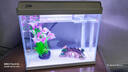 森森（SUNSUN）超白鱼缸一体缸自循环客厅水族箱桌面家用懒人免换水小型金鱼缸 超白HEJ300标配 带滤材+棉 实拍图