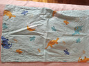 水星儿童（MERCURY Kids）幼儿园全棉抗菌对枕套(湖水绿/远古龙)30cm×50cm 婴幼儿A类 实拍图