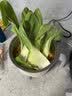 京严电煮锅辅食锅多功能泡面锅迷你便携电热火锅学生锅宿舍家用蒸煎炒涮食品级不粘涂层内胆电饭煲 1.8L 【食品级不粘内胆|两档调节】电煮锅 【超国标一级不粘内胆|不粘不糊|粘锅包退】 实拍图