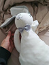 澳贝（auby）婴幼儿毛绒玩具兔子花伴玩偶毛绒手偶安抚哄睡陪伴宝宝新生儿礼物 实拍图
