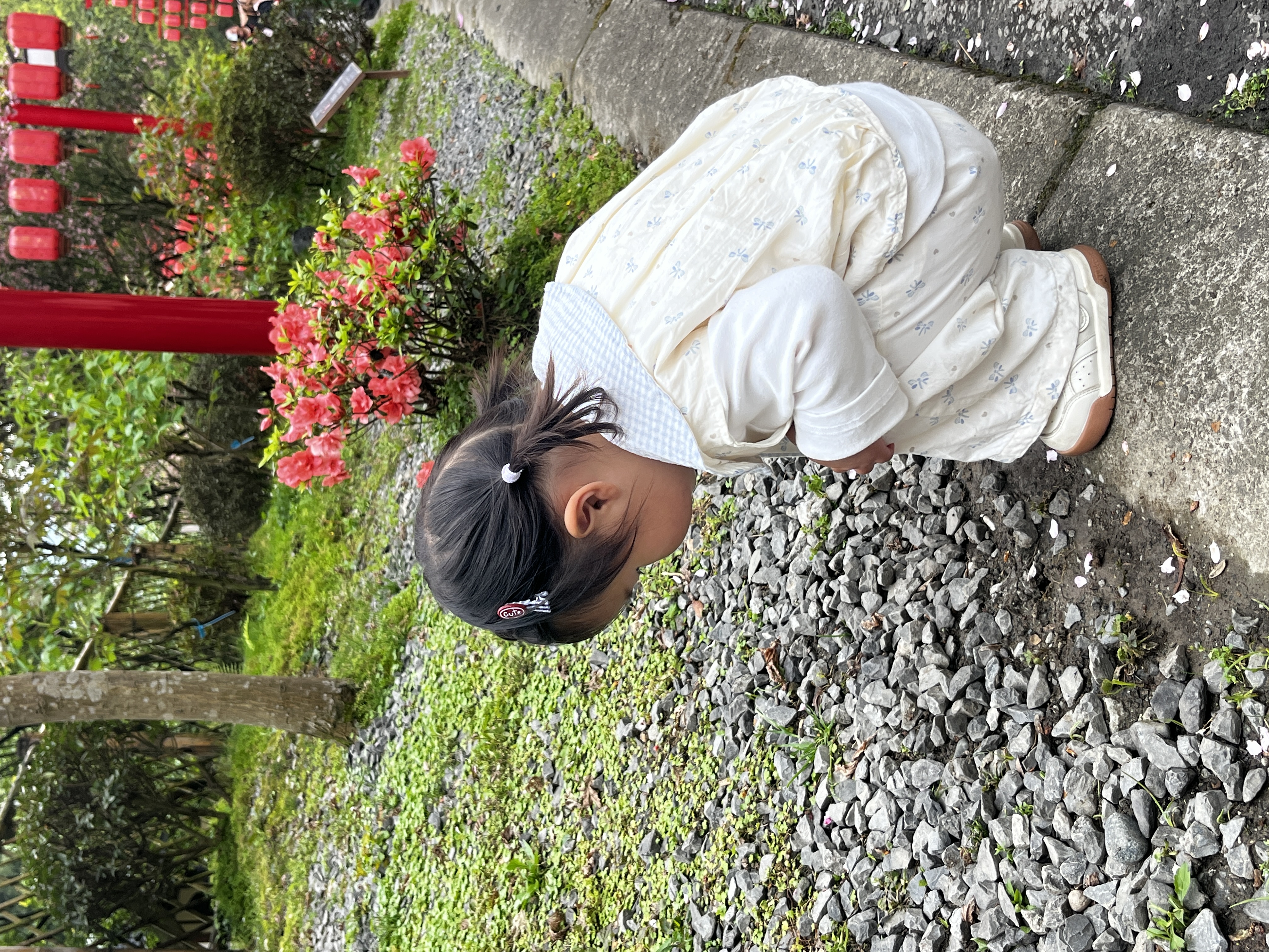 卡卡曼儿童平衡车1-3岁幼儿滑行车玩具宝宝四轮防侧翻滑步车婴儿溜溜车 专属粉【金属车架+车座可调+闪光轮】 一岁小孩学步车平衡车滑滑车周岁生日礼物 实拍图