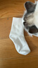 京东京造【毛圈袜】加厚加绒全毛圈袜子冬季女保暖中长筒10A抗菌精梳棉袜 实拍图