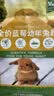 牛宠全价蓝莓幼兔粮兔子饲料侏儒兔磨牙粮食垂耳兔主粮宠物用品2kg 实拍图