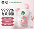 滴露（Dettol）健康抑菌洗手液滋润倍护500g 消毒抑菌99.99% 儿童适用不含酒精 实拍图