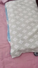 京东京造 斯里兰卡进口天然有机乳胶枕 成人颈椎枕头学生波浪枕6/8cm 实拍图