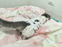 华元宠具（hoopet）猫咪绝育服宠物母猫小狗狗幼猫手术服透气断奶服公猫防舔术后衣服 实拍图