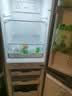上菱183升双开门冰箱风冷无霜小型家用二门 净味养鲜 小户型租房宿舍以旧换新 BBY183WL 实拍图