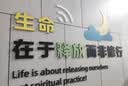 奇妙萌可会讲故事的闪闪萌可公仔说话玩具魔法甜心超长语音六一儿童节礼物 实拍图