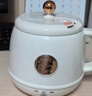 乐扣乐扣养生杯烧水杯 电煮杯电热水杯加热水杯迷你养生壶热奶杯电炖杯旅行户外EJC3125GRN 实拍图