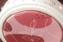 得胜（TAKSTAR）E20 小蜜蜂扩音器教师专用有线教学专用导游教师上课用小蜜蜂 音响扩音器米黄色 实拍图