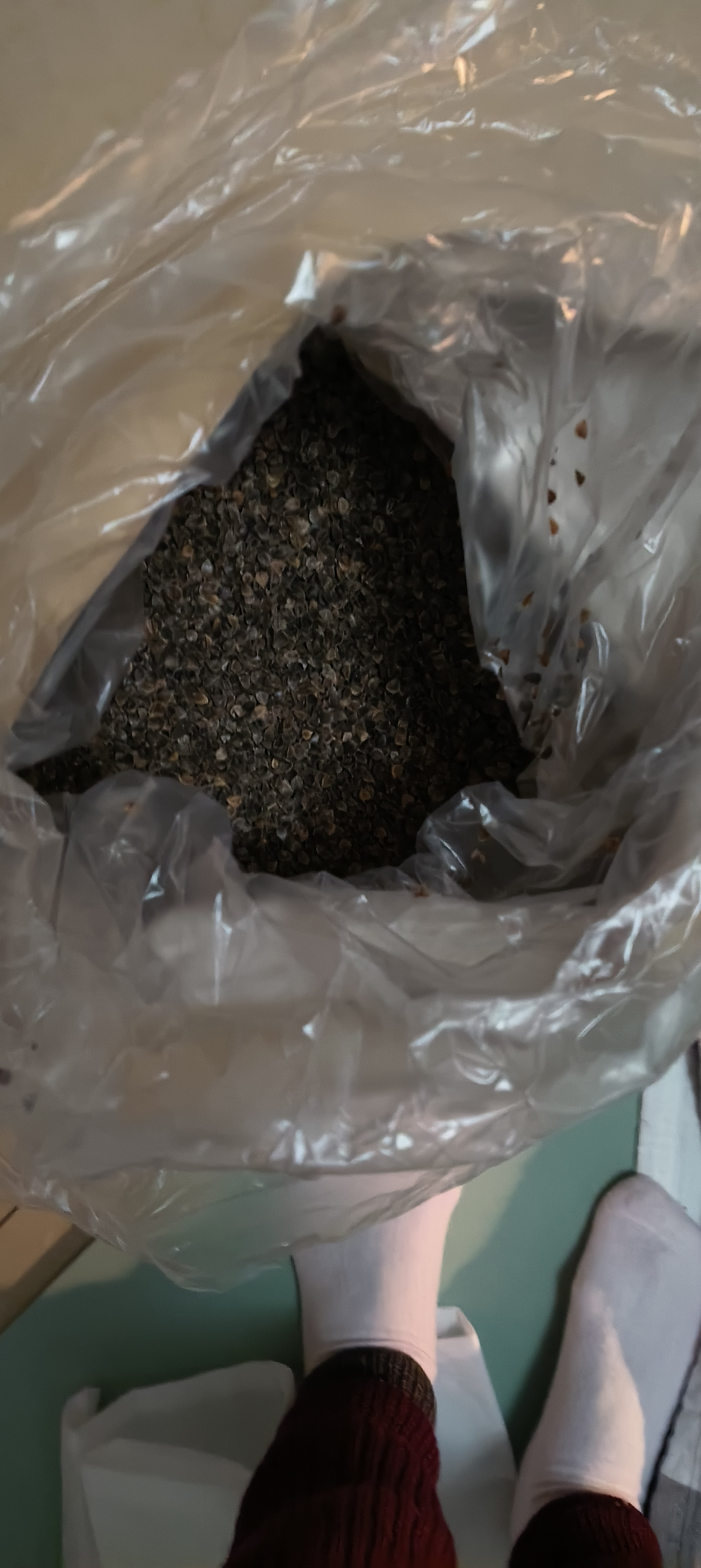 王小家英散装荞麦壳 散装荞麦皮 甜荞麦枕头枕芯填充物苦荞麦高温水洗熟壳 实拍图