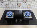 樱花（SAKURA）燃气灶天然气灶煤气灶双灶液化气灶具猛火炉灶台式嵌入式两用5.2KW大火力 【液化气】JZY-JGC01 实拍图