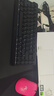 迈从（MCHOSE）Ace 68 V2磁轴键盘Gus同款RT电竞游戏低延迟60pro机械有线连接68键配列FPS双驱动无畏契约 Ace 68 V2 超竞版黑色 龙神轴+RT键 实拍图