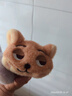 疯狂动物城尼克朱迪大肠发圈可爱毛绒公仔发圈扎头发发绳卡通头饰 超可爱双发圈2个装 实拍图