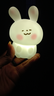 卡通小夜灯房间可爱少女心氛围灯生日礼物送女孩子儿童发光小玩具 腮红兔/大号 +配10颗备用电池 实拍图