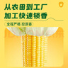 三胖蛋7A甜糯玉米新鲜真空包装加热即食高品质黄玉米棒粗粮代餐228g 7A甜糯玉米1.82kg【量贩装】 实拍图