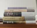 野菩萨 黎紫书短篇小说精选集 特别收入全新短篇《海》 王德威倾力推荐 晒单实拍图