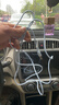 艾昊者适用苹果数据线iPhone14/13/12/11promax/6s/7/8plus液态软胶充电线带灯手机通用快充 自带柔和灯【蓝色】液态防断耐用线材 2米 实拍图