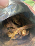 陈阿炳鸭锁骨鸭架卤味咸口零食休闲成人零食解馋下酒菜开袋即食 【椒盐原味】鸭架 250g 咸香入味 实拍图