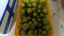 志褚 新鲜青梅鲜果 高山福建诏安青梅果鲜酸脆梅子泡酒青梅酵素 青梅【大果5斤】 实拍图