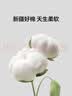 LOVO罗莱 100%新疆纯棉三/四件套全棉超柔床上用品单双人床单被套 【热销】超柔新疆全棉-摇曳花影 四件套1.5/1.8m 床单款 被套200*230cm 实拍图