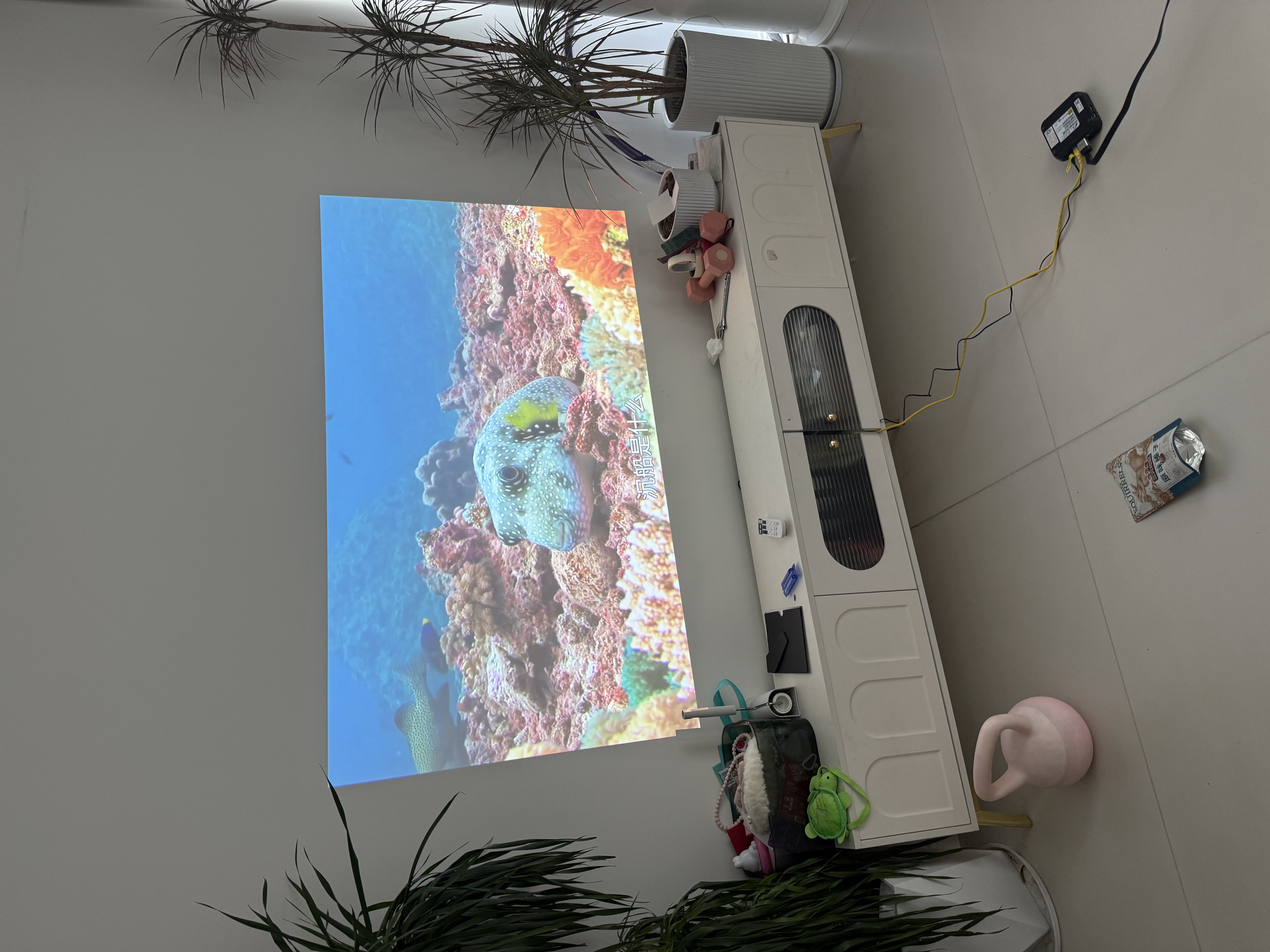 EpsonTW5210爱普生投影仪二手家用办公室会议投影全高清白天直投1080P智能家庭影院投影 TW5300【1080P 3D投影技术】 95成新 实拍图
