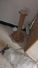 HELLOJOY猫抓柱剑麻猫抓板猫玩具耐抓耐磨不掉屑猫爬架立式自嗨解闷用品 实拍图